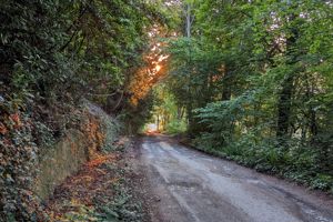 Photo 36- click for photo gallery